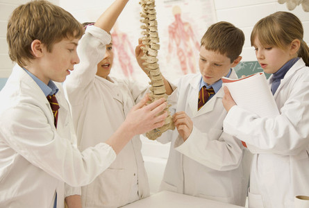 Junior high school students examining spine model in science laboratory
