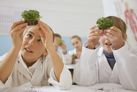 Curious junior high school students examining plants in science laboratory
