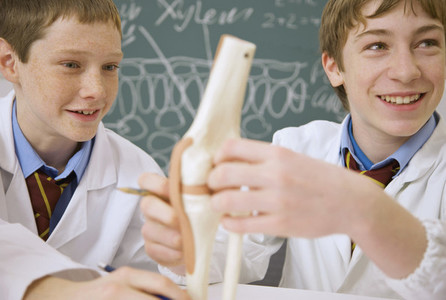 Happy junior high school boy students examining joint model in science class