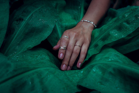 Woman hands on green leaves