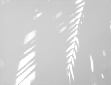 Realistic and organic tropical leaves natural shadow overlay eff