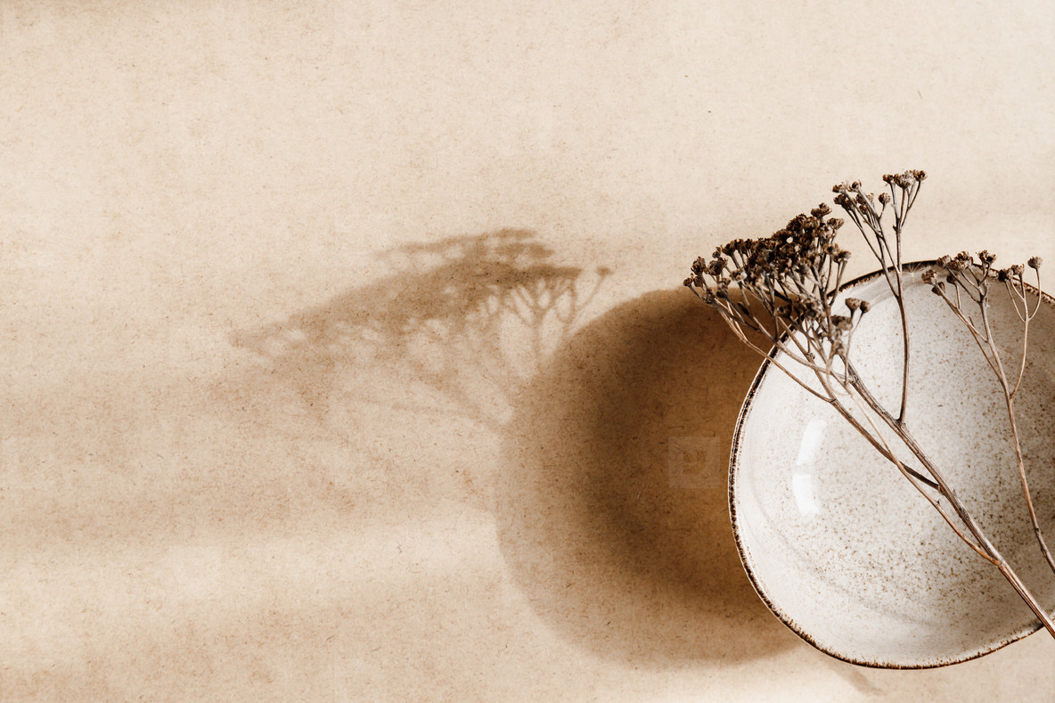 Minimalist ceramic bowl with dry plant over kraft paper background  Copy space  flat lay