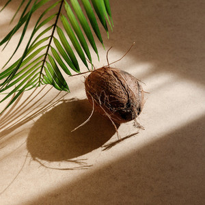 Summer abstract creative composition with a coconut and palm leaf against kraft paper