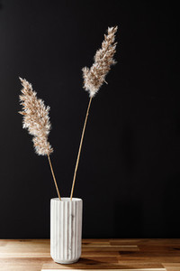 Reed in a white marble vase on a wooden table against the black wall  Interior minimal background