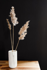 Reed in a white marble vase on a wooden table against the black wall  Interior minimal background
