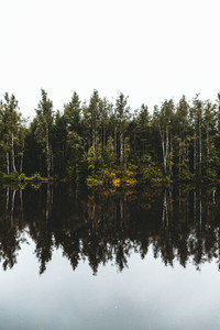 Nature landscape photography  Forest and river with reflections on a cloudy day