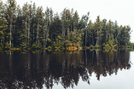 Nature landscape photography  Forest and river with reflections on a cloudy day