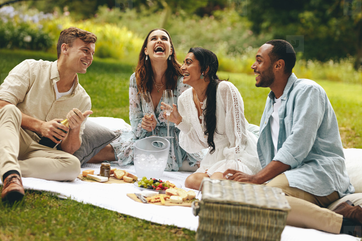 Friends enjoying a luxury picnic