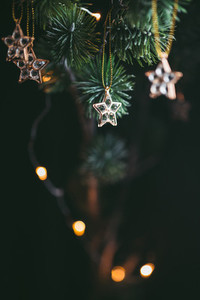 Golden mini stars Christmas decoration on a fir branch
