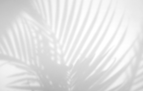 Realistic and organic tropical leaves natural shadow overlay eff