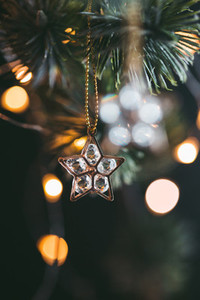 Golden mini stars Christmas decoration on a fir branch