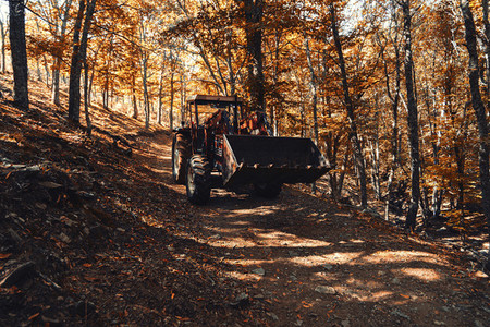 Tractor in autumn chestnut forest in Spain with warm colors