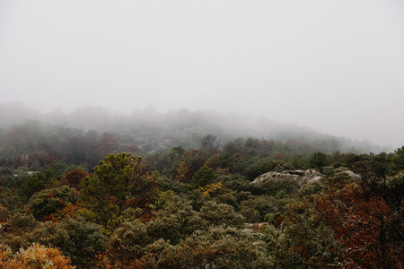 clouds and mists in bad weather in autumn in the forests of the Araitz valley  Navarra