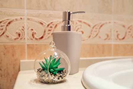 Bathroom detail with soap dispenser and plant