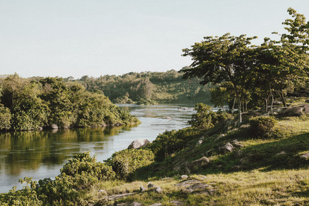 Sunny scenic view of Nile River Ginger Uganda