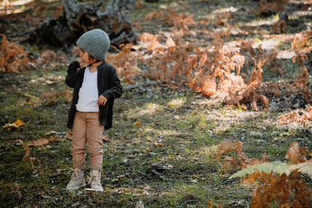 Little girl in an autumn forest among ferns