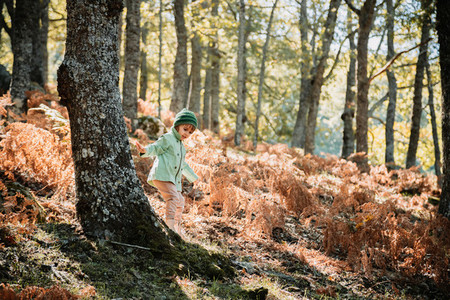 Little girl in an autumn forest among ferns