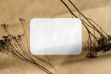 Blank paper sheet on a kraft paper with dry grass  Minimalist toned background