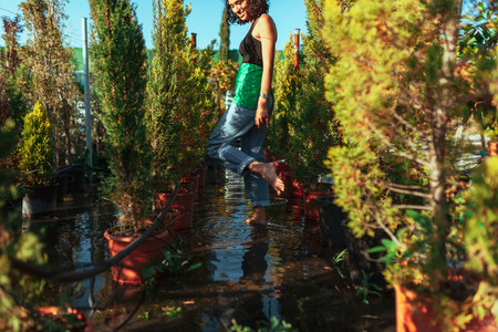 Woman gardener checking out the cypress trees in the plant nursery