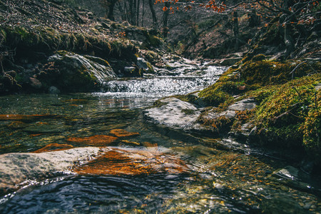 A river flowing between mossy rocks