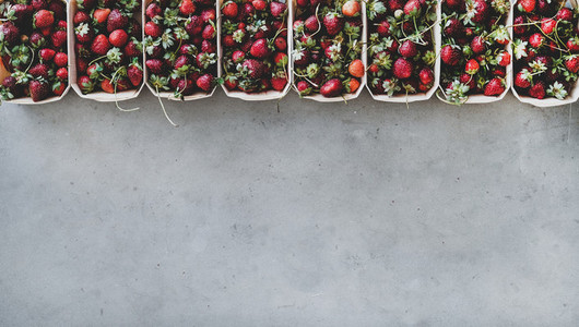 Fresh strawberries in plastic free boxes over grey concrete background