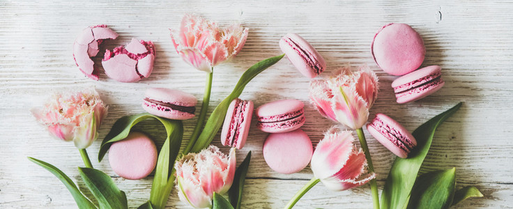 Pink macaron cookies and spring fresh tulip flowers  wide composition