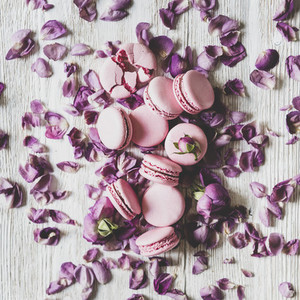 Sweet macaron cookies and rose buds and petals  square crop