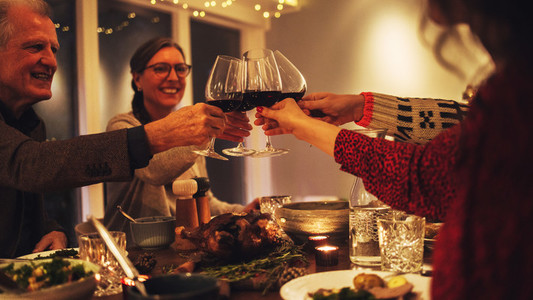 Family toasting wine at christmas dinner