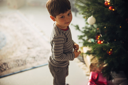 Boy standing by Christmas tree