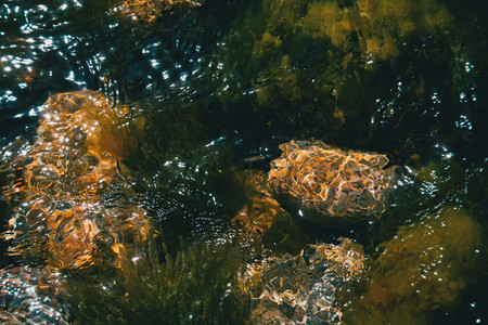 Detail of some rocks under the sea with light reflections on the surface of the water