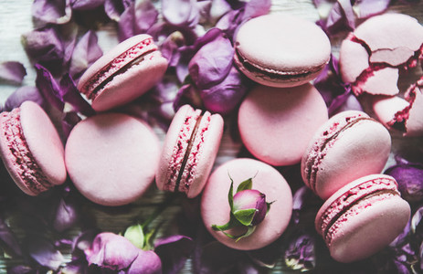 Sweet pink macaron cookies and lilac rose buds and petals