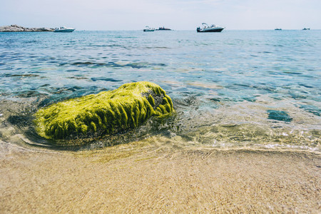 Seascape with an isolated rock completely covered in green algae on the shore