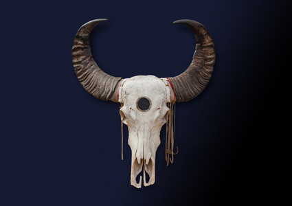 Bohemian Skull  8
