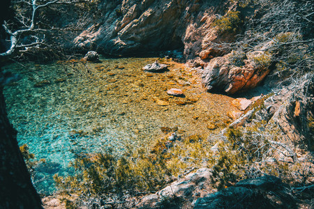 Seascape of a cove with crystalline shallow waters surrounded by vegetation and a rocky wall