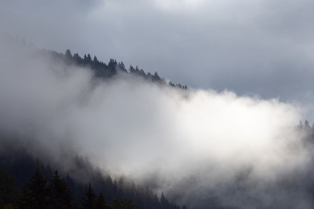 Fog on beautiful forest peaks in the mountains
