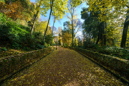 Cuesta de Gomerez in autumn this road takes you to the Alhambra complex