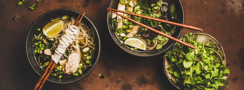 Vietnamese asian traditional soup Pho Ga  wide composition