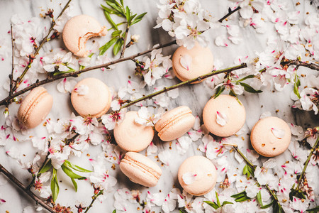 Flat lay of sweet macaron cookies and white blossom flowers