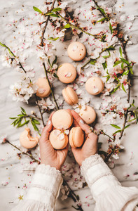 Womans hands holding macaron cookies and white spring blossom flowers