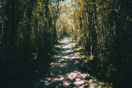 wooded path around lake banyoles  spain