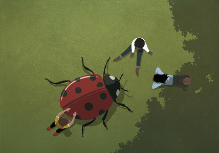 Kids playing with large ladybug in grass