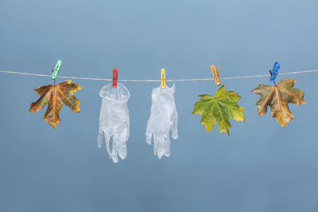 Protective gloves hanging on clothesline with autumn leaves