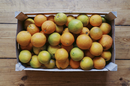 Crate of fresh harvested citrus fruit