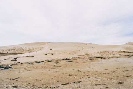 Lonely dunes in the Ebro delta Tarragona Spain