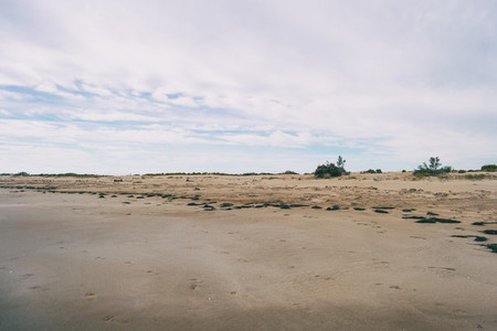 Lonely beach in the delta del ebro  tarragona  spain