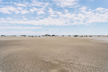 Lonely dunes in the Ebro delta  Tarragona  Spain