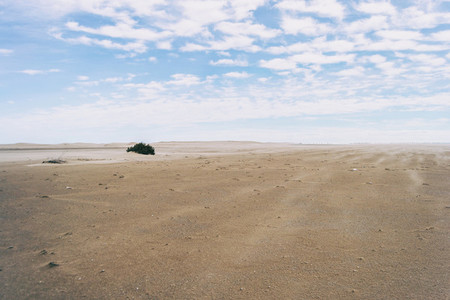 Lonely dunes in the Ebro delta  Tarragona  Spain