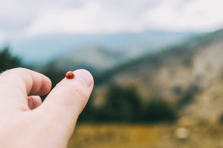 little ladybug perched on the thumb skin of a girls hand
