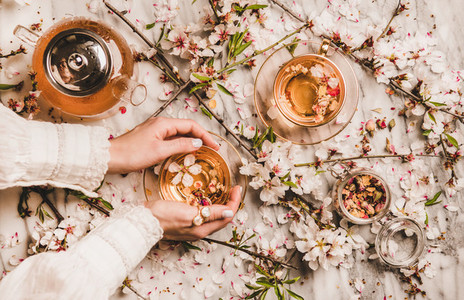 Female hands holding cup of tea over blooming almond branches