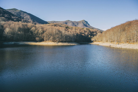 view of part of the santa fe swamp in winter located in the montseny mountains catalonia